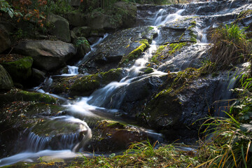 Rocks, water flow, and moss in the stream