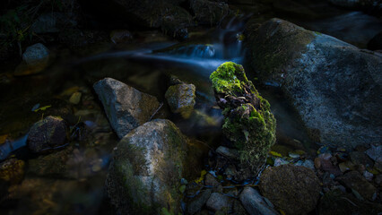 Rocks, water flow, and moss in the stream
