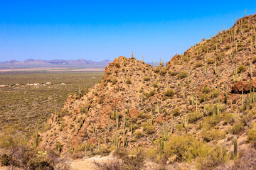 A desert landscape with a mountain in the background