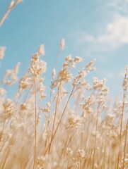A serene view of golden grass swaying under a bright blue sky.