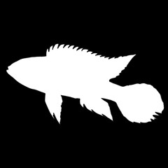 silhouette of fish on black background illustration