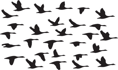 Geese Flying Silhouette Collection © Digital Dreams Studi