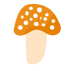 Forest mushroom vector illustration. Hand drawn colored mushroom illustration. 
