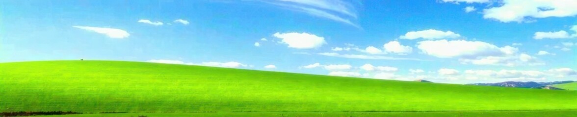 Fototapeta premium Serene landscape with vast green field under bright blue sky, landscape, green field, open space
