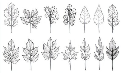 Line art collection of various leaves and plants.