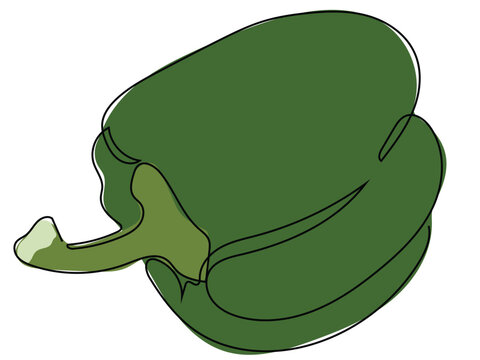 Bell pepper in continuous line drawing style and can be edited later