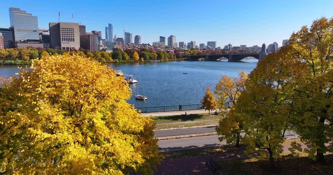 Drone Push Through Fall Foliage Toward Charles River and Harvard Bridge in Boston