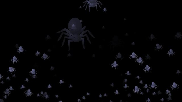 spider, emoji, animated, creepy, crawly, insect, web, creepy crawly, arachnid, animation, spider emoji, motion, spooky, Halloween, eight legs, danger, fear, bug, night, scary, animated icon, black wid