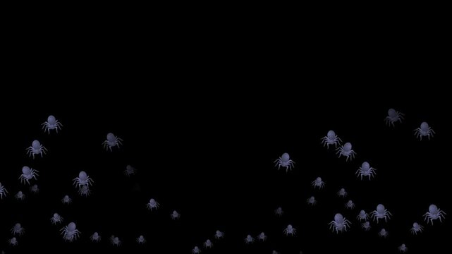 spider, emoji, animated, creepy, crawly, insect, web, creepy crawly, arachnid, animation, spider emoji, motion, spooky, Halloween, eight legs, danger, fear, bug, night, scary, animated icon, black wid