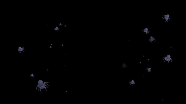 spider, emoji, animated, creepy, crawly, insect, web, creepy crawly, arachnid, animation, spider emoji, motion, spooky, Halloween, eight legs, danger, fear, bug, night, scary, animated icon, black wid