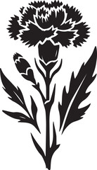 Black and white flower