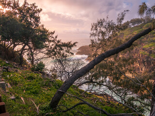 Waves Crashing on Rocks Framed by Trees
