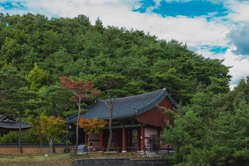 풍경 사이 고궁