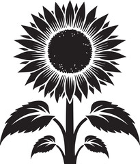 Fototapeta premium Black and white flower vector