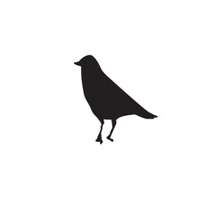 graphic bird animal logo element design