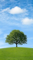 Lone Tree Stands Tall On Green Hill Under Blue Sky