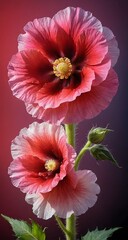 Fototapeta premium A couple of pink flowers that are next to each other.