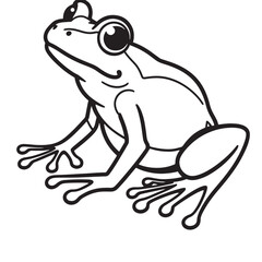Amphibians are those animals on white background 
Frog, Crocodile, Alligator, Monitor lizard, Salamander, Toad, Newt, Iguana, Snake, Green dragon lizard, Snake
