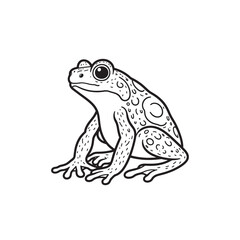 Amphibians are those animals on white background 
Frog, Crocodile, Alligator, Monitor lizard, Salamander, Toad, Newt, Iguana, Snake, Green dragon lizard, Snake