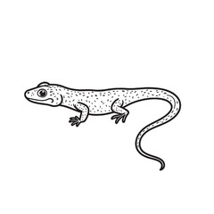 Amphibians are those animals on white background 
Frog, Crocodile, Alligator, Monitor lizard, Salamander, Toad, Newt, Iguana, Snake, Green dragon lizard, Snake
