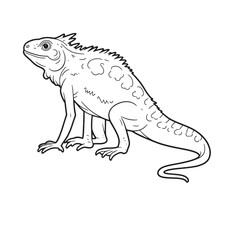 Amphibians are those animals on white background 
Frog, Crocodile, Alligator, Monitor lizard, Salamander, Toad, Newt, Iguana, Snake, Green dragon lizard, Snake