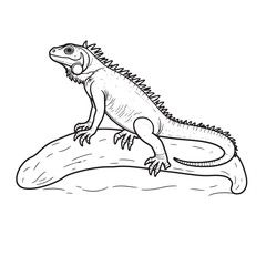 Amphibians are those animals on white background 
Frog, Crocodile, Alligator, Monitor lizard, Salamander, Toad, Newt, Iguana, Snake, Green dragon lizard, Snake