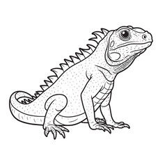 Amphibians are those animals on white background 
Frog, Crocodile, Alligator, Monitor lizard, Salamander, Toad, Newt, Iguana, Snake, Green dragon lizard, Snake