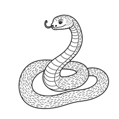 Amphibians are those animals on white background 
Frog, Crocodile, Alligator, Monitor lizard, Salamander, Toad, Newt, Iguana, Snake, Green dragon lizard, Snake