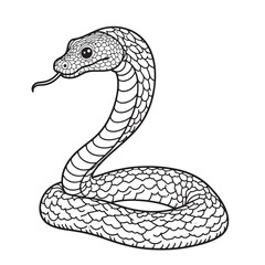 Fototapeta premium Amphibians are those animals on white background Frog, Crocodile, Alligator, Monitor lizard, Salamander, Toad, Newt, Iguana, Snake, Green dragon lizard, Snake