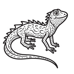 Amphibians are those animals on white background 
Frog, Crocodile, Alligator, Monitor lizard, Salamander, Toad, Newt, Iguana, Snake, Green dragon lizard, Snake