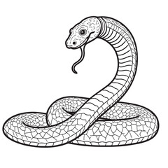 Fototapeta premium Amphibians are those animals on white background Frog, Crocodile, Alligator, Monitor lizard, Salamander, Toad, Newt, Iguana, Snake, Green dragon lizard, Snake