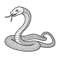 Fototapeta premium Amphibians are those animals on white background Frog, Crocodile, Alligator, Monitor lizard, Salamander, Toad, Newt, Iguana, Snake, Green dragon lizard, Snake