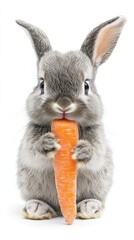 Obraz premium A cute gray bunny holding a carrot, showcasing a playful and adorable animal moment.