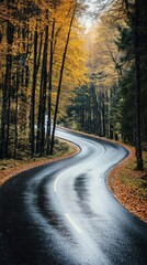 Fototapeta premium Winding Road Through Autumnal Forest Scenery