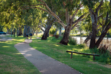 Obraz premium Queens Park river walk at Warwick, QLD, Australia