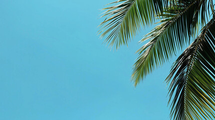 Palm tree leaves gently sway against a clear blue sky