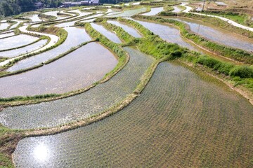 Stunning views of Chongqing Banan Shitan rice terraces showcasing agricultural beauty and water management