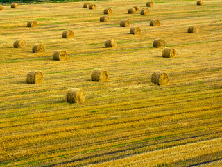 Straw bales on harvested stubble field illuminated by sun