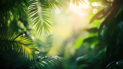 Lush Tropical Paradise: Sunlit Leaves and Tranquil Green