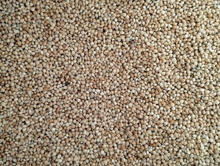 Yellow raw organic healthy millet grain seeds textured background.