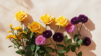 Obraz premium Yellow roses and purple asters on taupe background with diffused sunlight