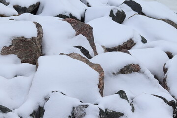 Snow covered stones. Natural and textured background in winter. White and brown background. Close-up of rocks with snow and december or winter calendar.