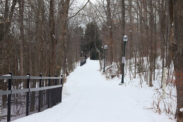 Winter in the forest and an hiking trail in a park. December calendar and Quebec or Canada...