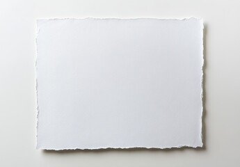 Blank white textured paper with deckled edges on white background.