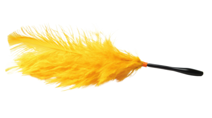 Feather duster transparent background