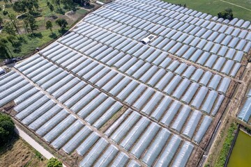 Expansive vegetable greenhouse complex showcasing rows of greenhouses under clear skies