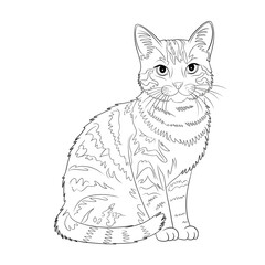 Obraz premium cat coloring page 