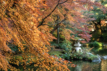 紅葉最盛期の成田山新勝寺
