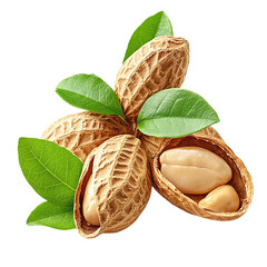 fresh peanuts in a bowl on a transparent background