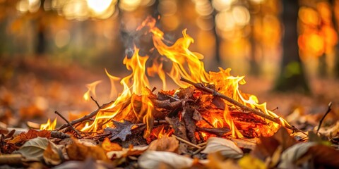 Dry leaves burning in a bonfire, autumn, fire, smoke, outdoors, fall, nature, heat, flames, ash, combustion, forest, leaf litter
